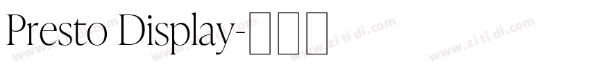 Presto Display字体转换 Presto Display字体转换